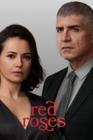 Kızıl Goncalar: 1.Sezon