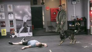 Arka Sokaklar: 19×7