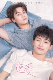 Revenged Love: 1.Sezon